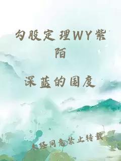 勾股定理WY紫陌