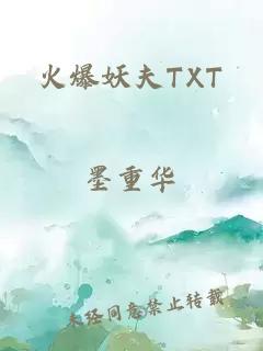 火爆妖夫TXT