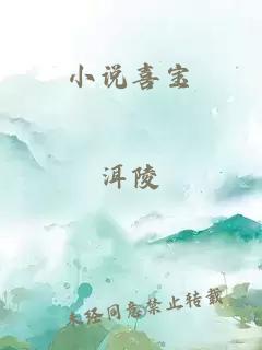 小说喜宝