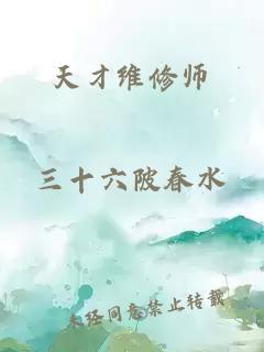 天才维修师