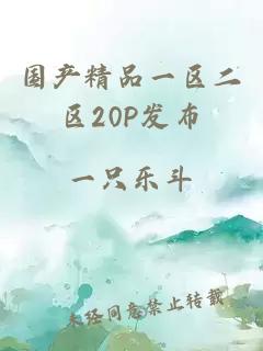 国产精品一区二区20P发布