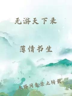 无游天下录