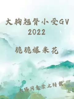 大胸翘臀小受GV2022