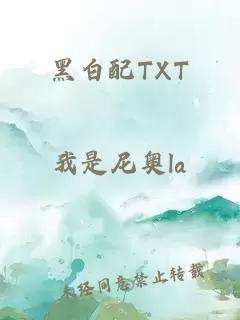 黑白配TXT