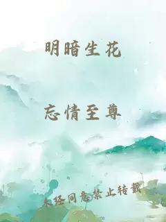 明暗生花