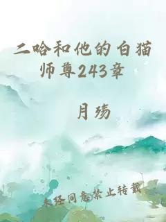 二哈和他的白猫师尊243章