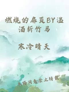 燃烧的扉页BY温酒斩竹马