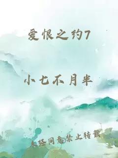 爱恨之约7