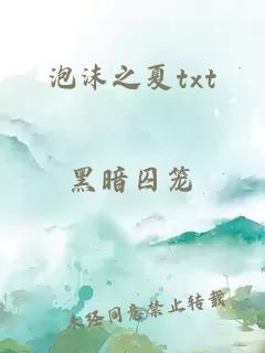 泡沫之夏txt