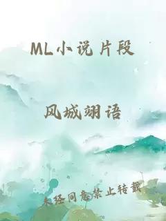 ML小说片段