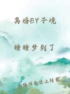 离婚BY子境