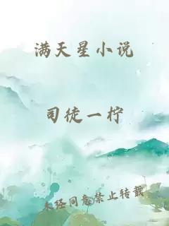 满天星小说