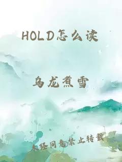 HOLD怎么读