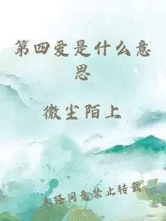 第四爱是什么意思