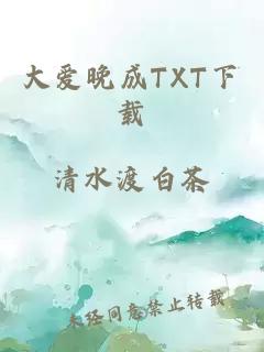 大爱晚成TXT下载