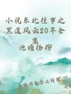 小说东北往事之黑道风云20年全集