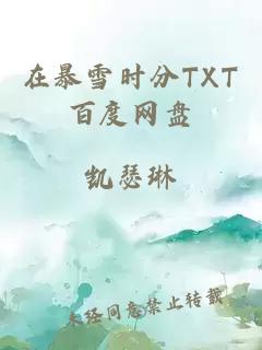 在暴雪时分TXT百度网盘