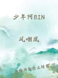 少年阿BIN