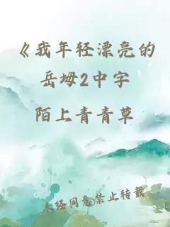 《我年轻漂亮的岳坶2中字