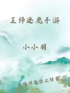 王师逐鹿手游