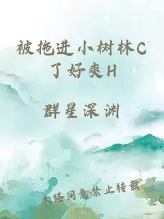 被拖进小树林C了好爽H