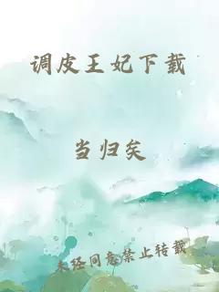 调皮王妃下载