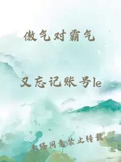 傲气对霸气