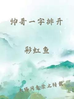 帅哥一字排开