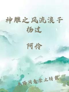 神雕之风流浪子杨过