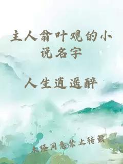 主人翁叶观的小说名字