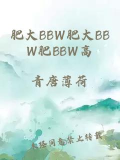 肥大BBW肥大ΒBW肥BBW高