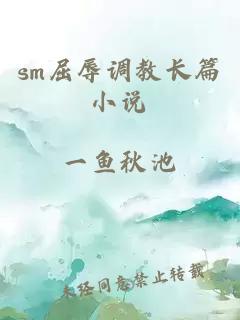 sm屈辱调教长篇小说