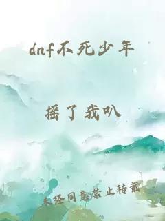 dnf不死少年