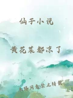 仙子小说