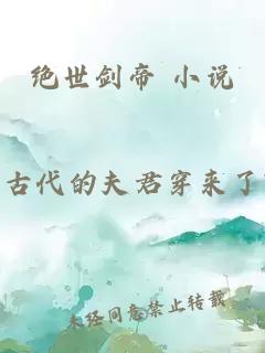 绝世剑帝 小说