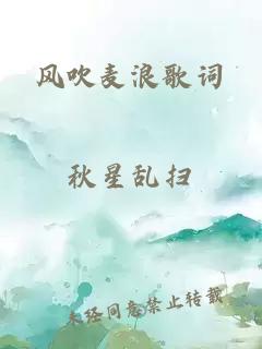 风吹麦浪歌词