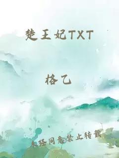 楚王妃TXT