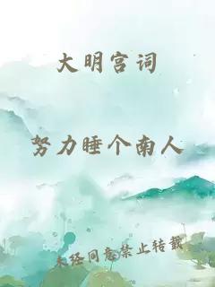 大明宫词