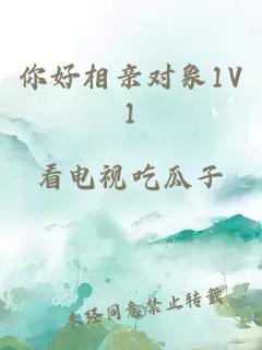 你好相亲对象1V1