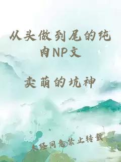 从头做到尾的纯肉NP文