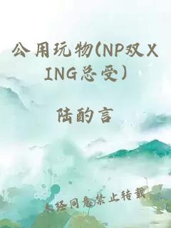 公用玩物(NP双XING总受)