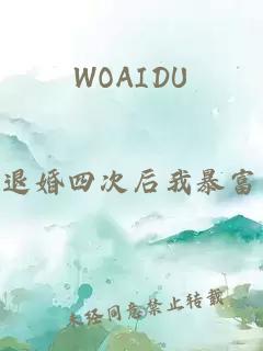 WOAIDU