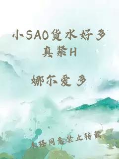 小SAO货水好多真紧H