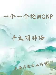 一个一个轮MCNP