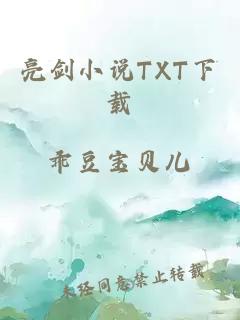 亮剑小说TXT下载