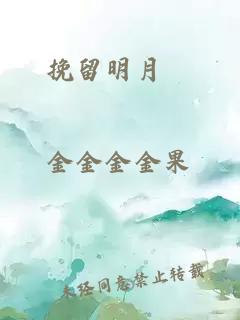 挽留明月珰