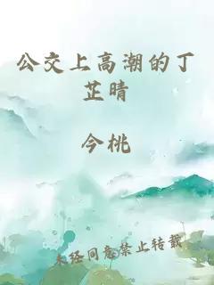 公交上高潮的丁芷晴