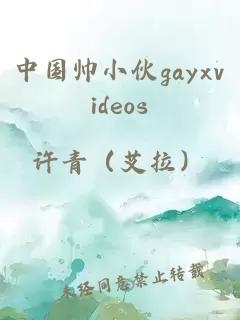 中国帅小伙gayxvideos