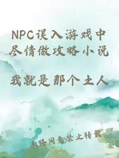 NPC误入游戏中尽情做攻略小说