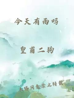 今天有雨吗